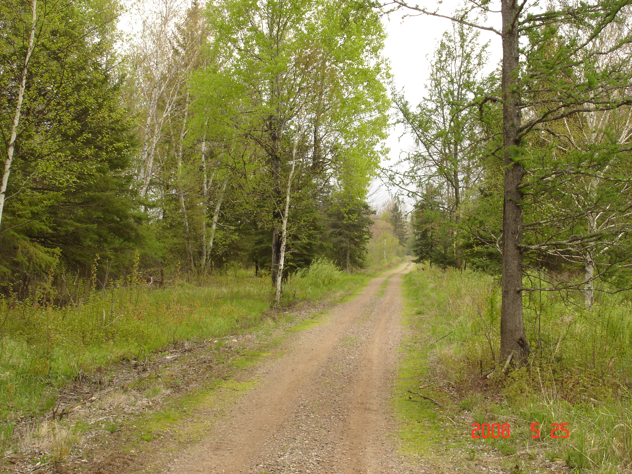 Food Plots On the Property