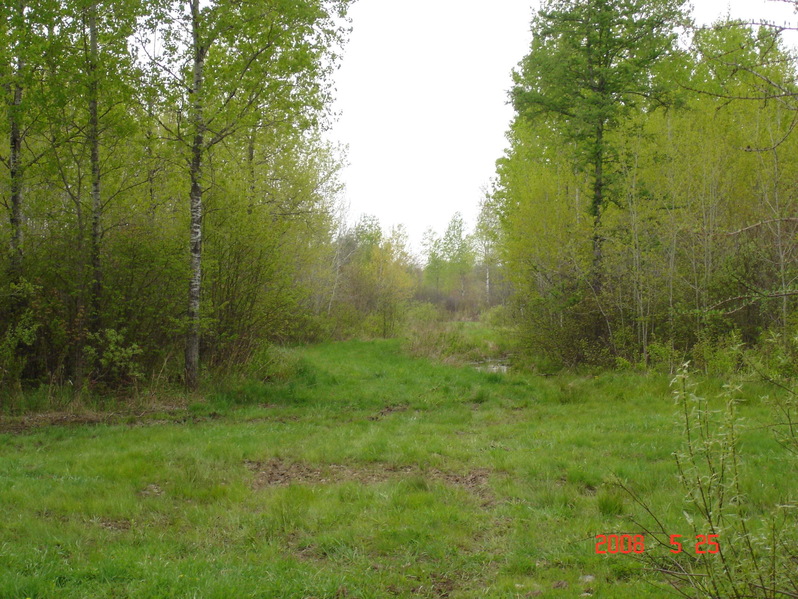 Elevated access trails acroos the property