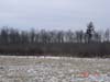 Food Plots On the Property