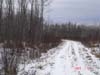 Elevated access trails acroos the property