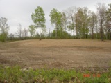 Existing Deer Hunting Stands