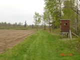 Existing Deer Hunting Stands
