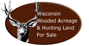 Wooded Acrage For Sale In Wisconsin