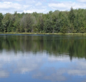 A picture from the lakefront at Tom Doyle Lake In Northern Wisconsin