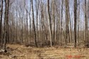 michigan hunting land